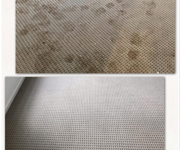 carpet_cleaning